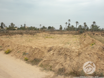 V 087 -                            Sale
                           Terrain Djerba